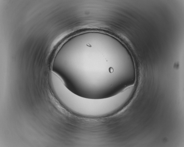 X0000112741114200909101509