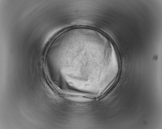 X0000112741115200909101509