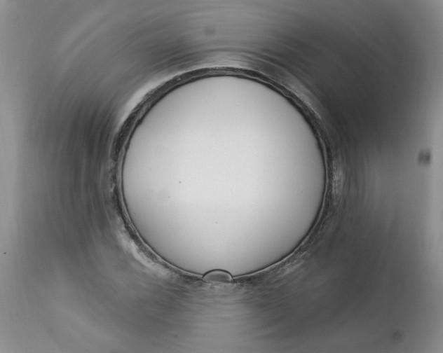 X0000112741116200909101509