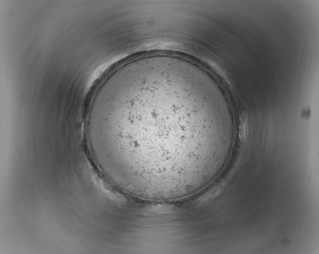 X0000112741117200909101509