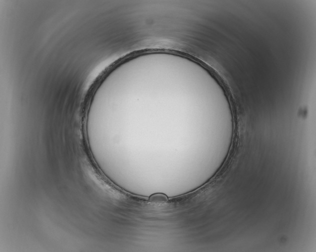 X0000112741120200909101509