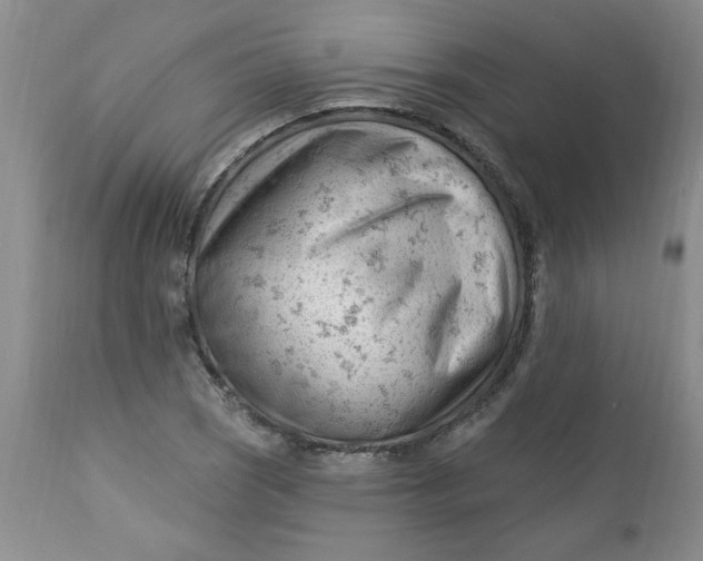 X0000112741121200909101509