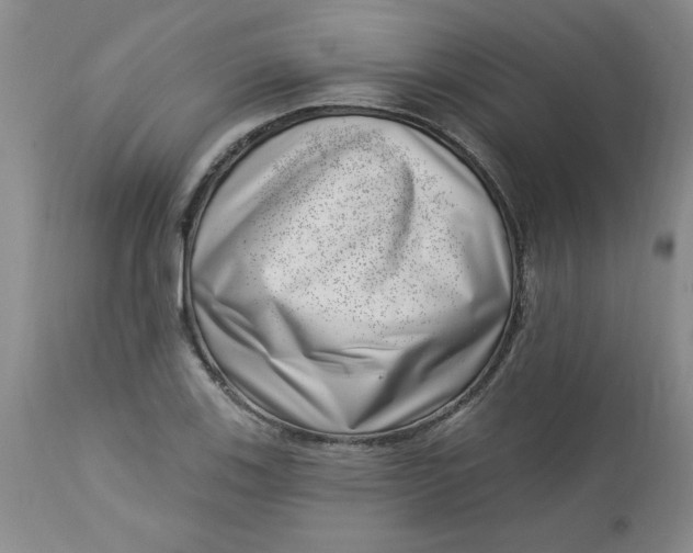 X0000112741123200909101509