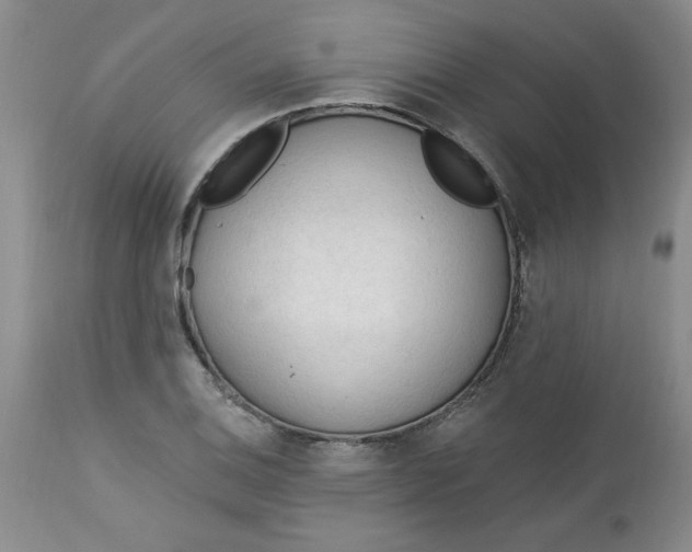 X0000112741124200909101509