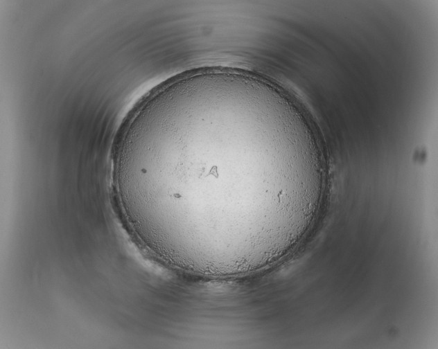 X0000112741125200909101509