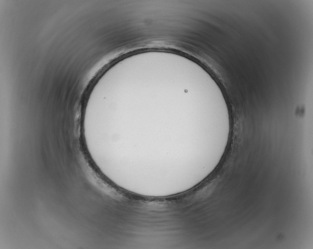 X0000112741126200909101509