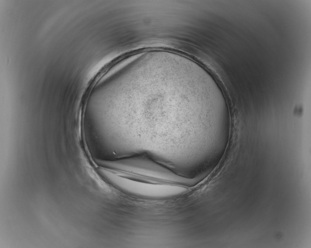 X0000112741127200909101509