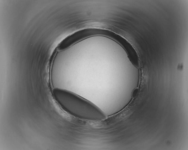 X0000112741128200909101509