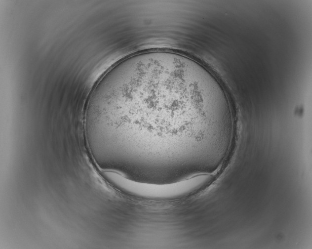 X0000112741129200909101509