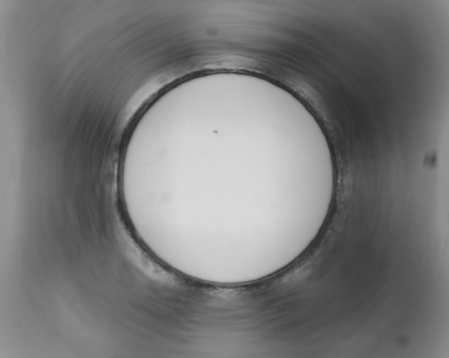 X0000112741130200909101509