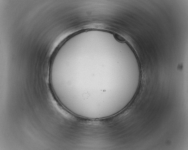 X0000112741131200909101509