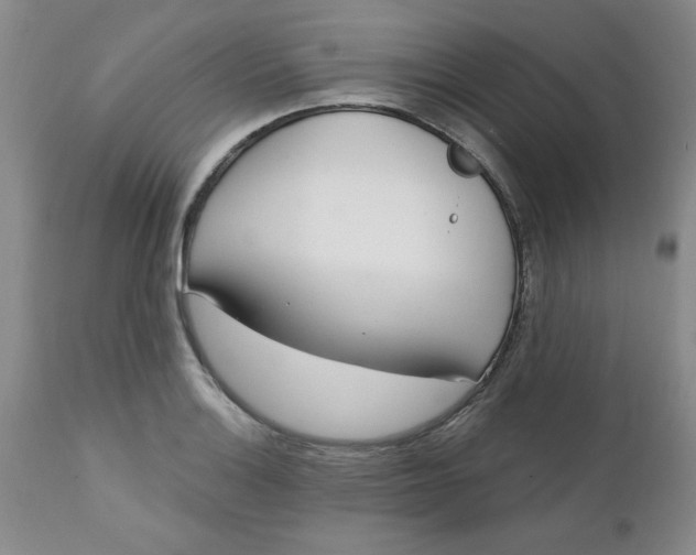 X0000112741132200909101509