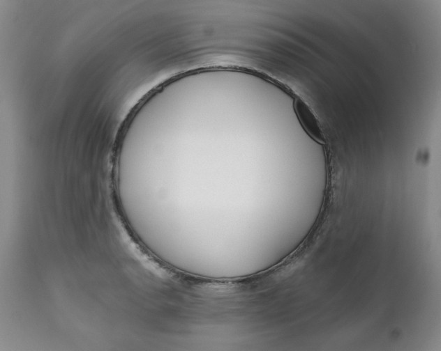 X0000112741134200909101509