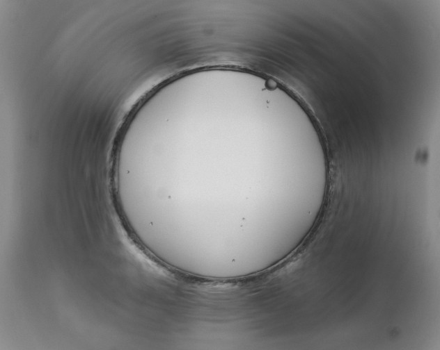 X0000112741135200909101509