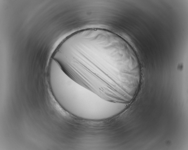 X0000112741140200909101509