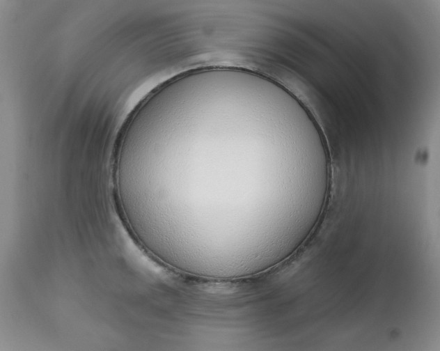 X0000112741141200909101509