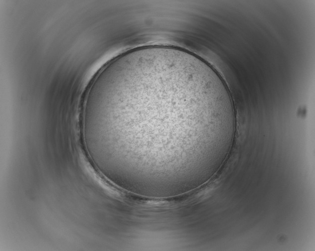 X0000112741142200909101509