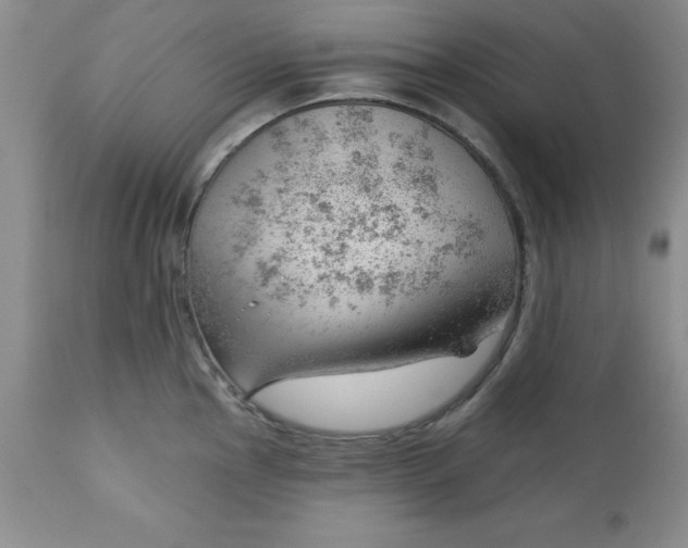 X0000112741145200909101509