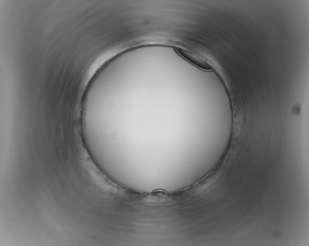 X0000112741146200909101509