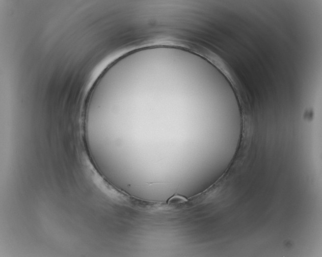 X0000112741148200909101509