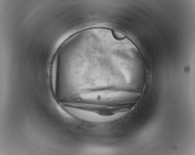 X0000112741151200909101509