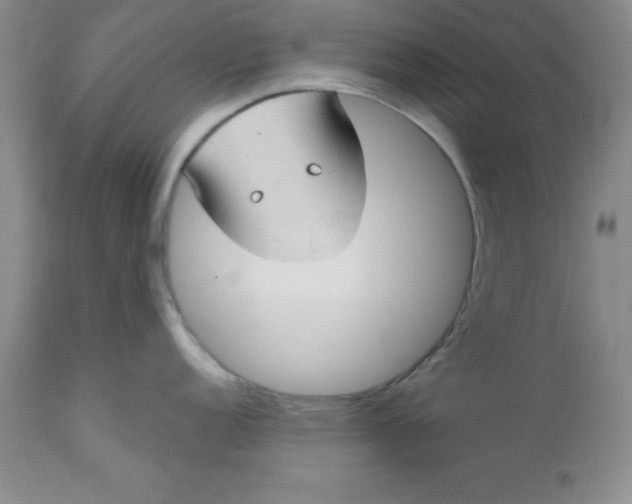 X0000112741152200909101509