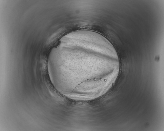 X0000112741154200909101509