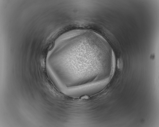 X0000112741155200909101509