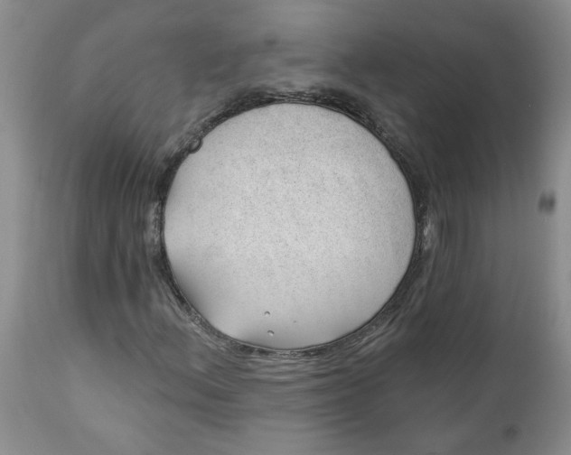 X0000112741156200909101509