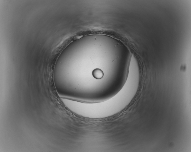 X0000112741157200909101509