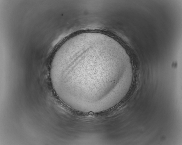 X0000112741160200909101508