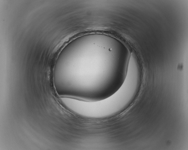 X0000112741161200909101508