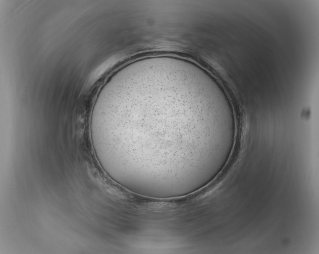 X0000112741163200909101508