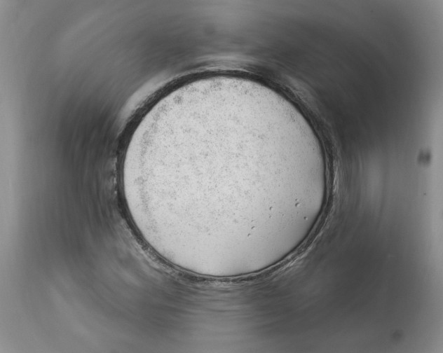 X0000112741164200909101508