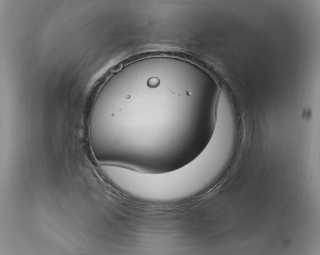 X0000112741165200909101508