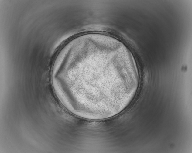 X0000112741166200909101508