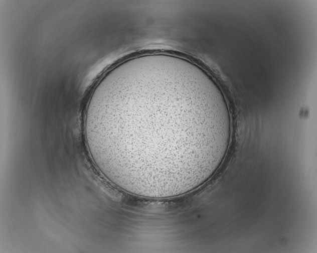 X0000112741167200909101508