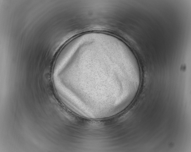 X0000112741170200909101508