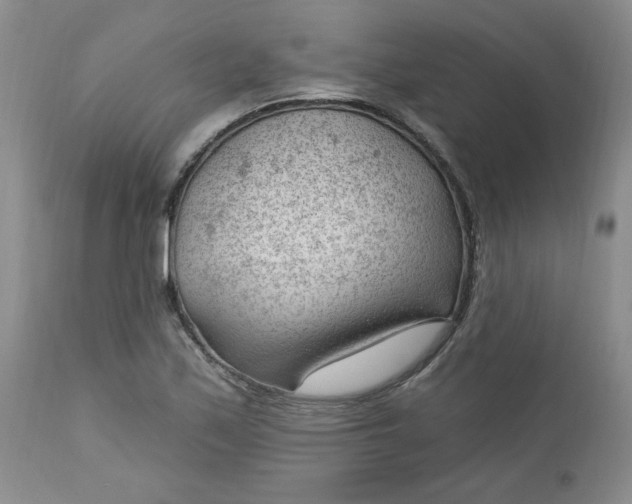 X0000112741171200909101508