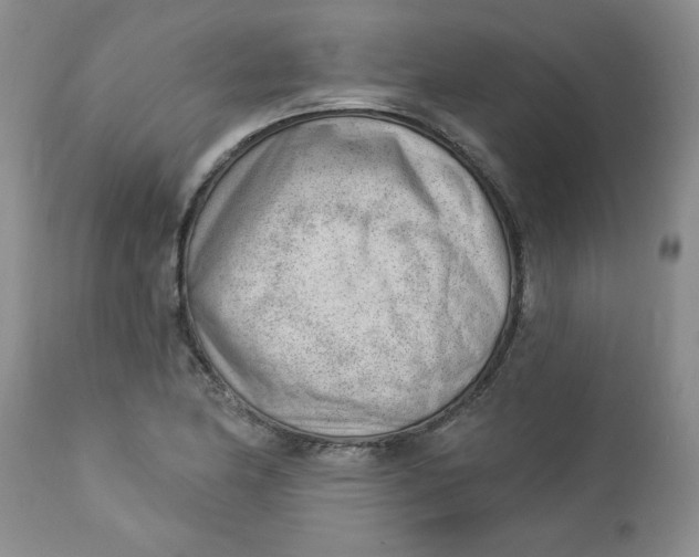 X0000112741174200909101508