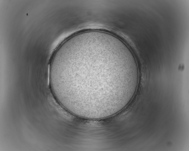 X0000112741175200909101508