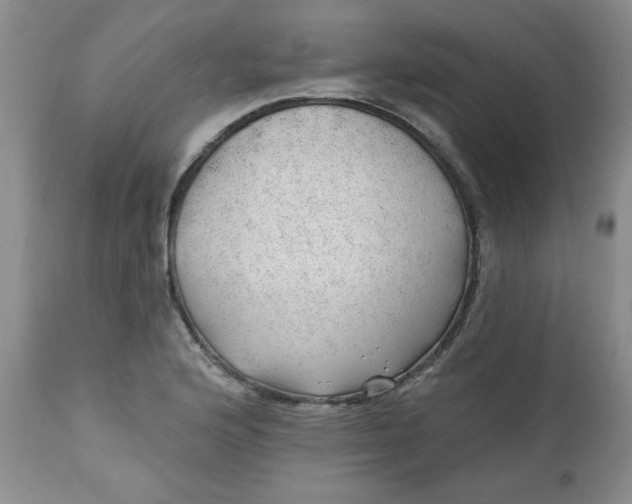 X0000112741176200909101508