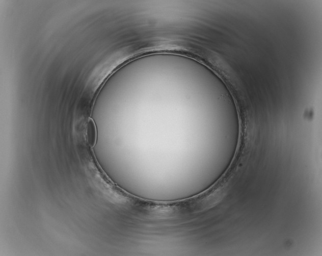 X0000112741177200909101508