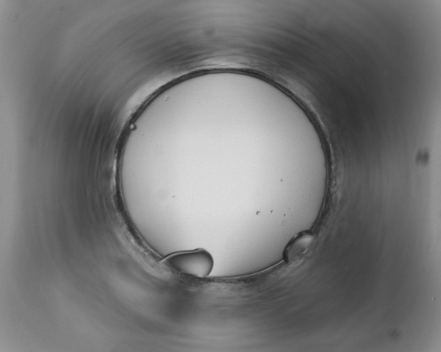 X0000112741179200909101508