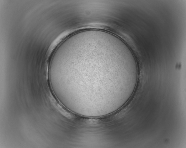 X0000112741180200909101508