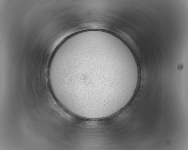 X0000112741182200909101508