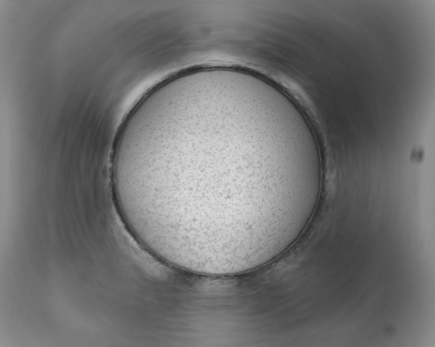 X0000112741183200909101508