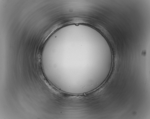 X0000112741185200909101508