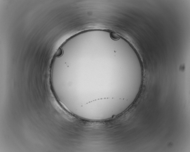 X0000112741187200909101508