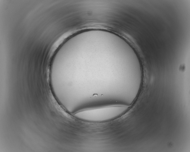 X0000112741188200909101508